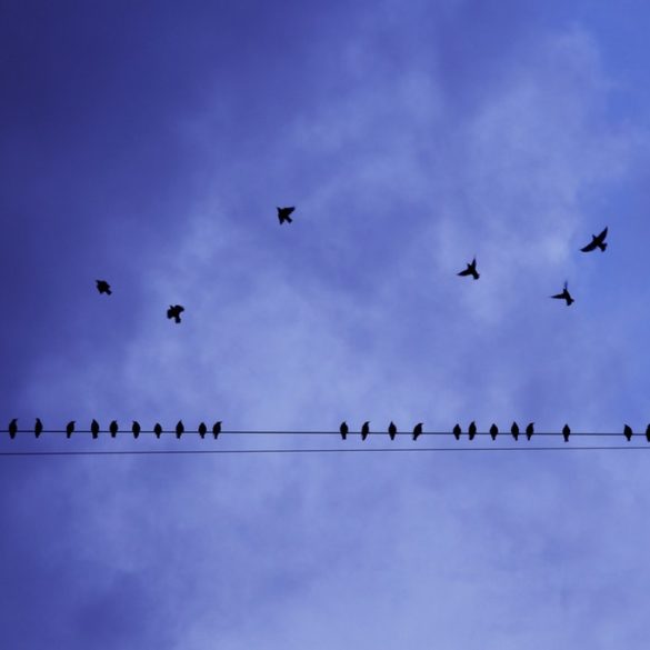 Alfabetización digital vs. Fake news