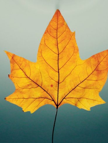 Gestión del cambio y Transformación Digital de lo público