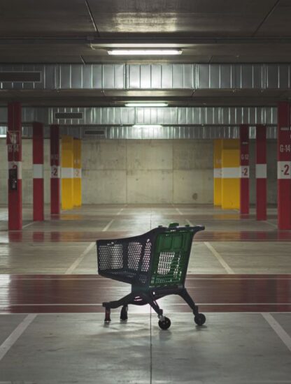 Desarrollos in-house ante restricciones presupuestales