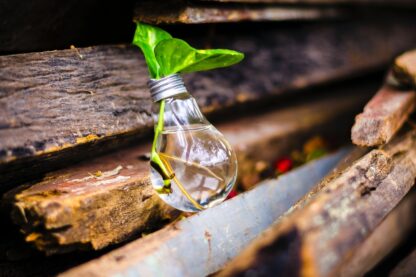 ¿Por qué el Gobierno Abierto invita a innovar?