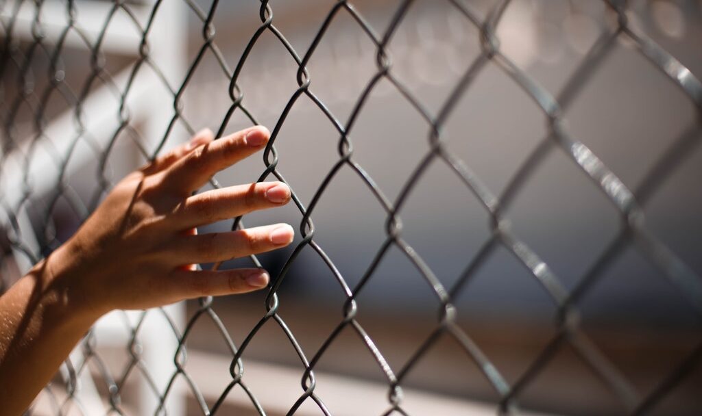 Conectividad y adopción tecnológica en México: en sentido contrario