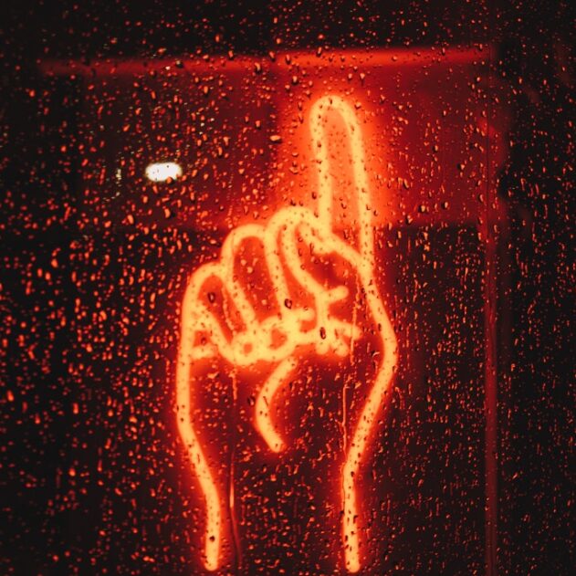 Índice de Gobernanza Digital Estatal 2019