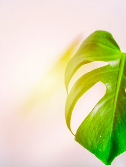 Cooperación digital para el desarrollo económico