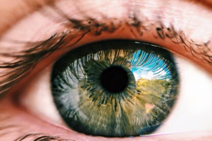 Beneficios de la autenticación biométrica para el ciudadano usuario